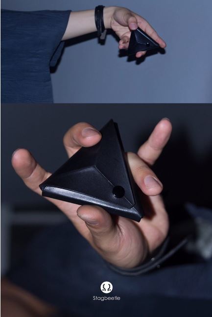 【甲蟲仙生製革室】昆蟲切面手工皮革三角零錢包 (M)